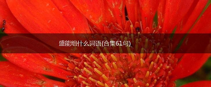 盛能组什么词语(合集61句),第1张 盛能组什么词语(合集61句),第1张