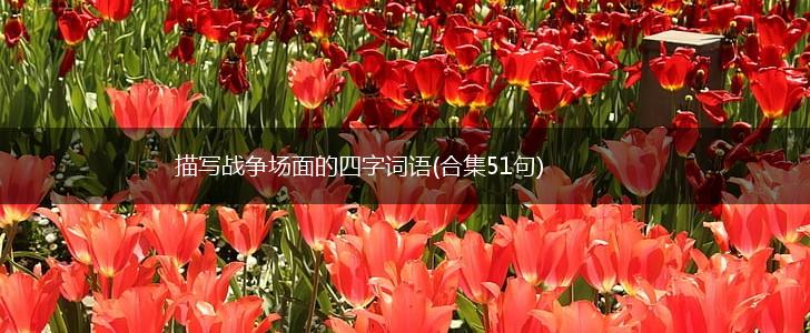 描写战争场面的四字词语(合集51句),第1张