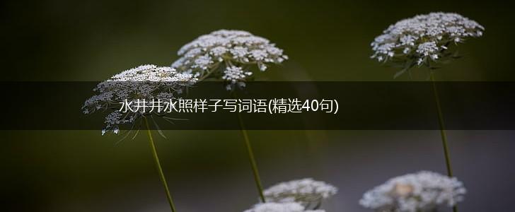 水井井水照样子写词语(精选40句),第1张