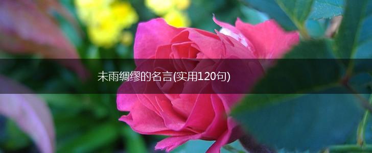 未雨绸缪的名言(实用120句),第1张