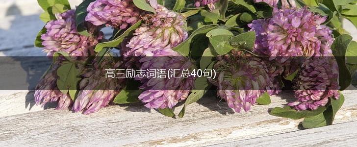 高三励志词语(汇总40句),第1张