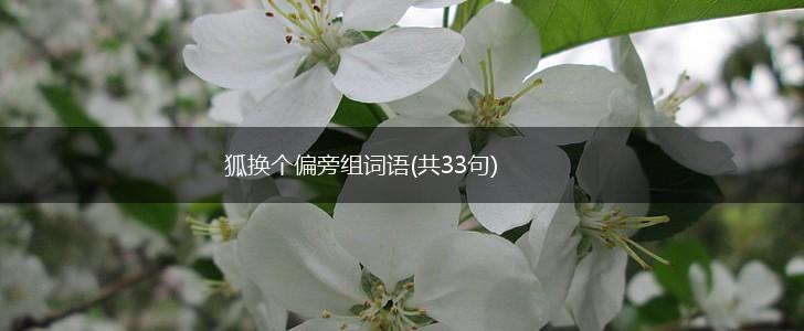 狐换个偏旁组词语(共33句),第1张