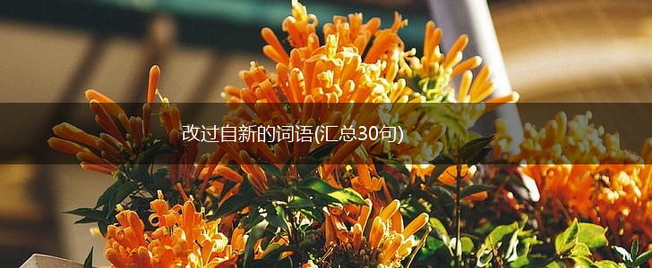 改过自新的词语(汇总30句),第1张