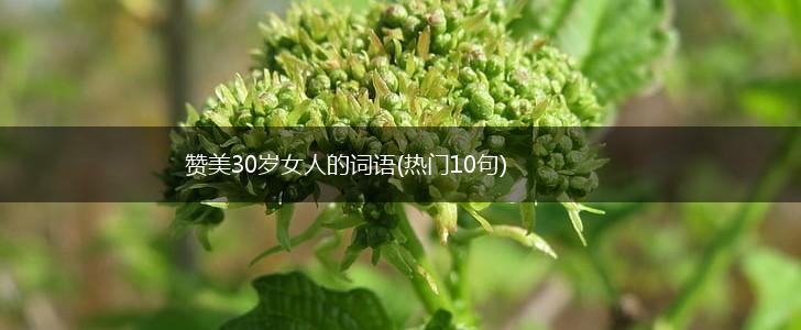 赞美30岁女人的词语(热门10句),第1张