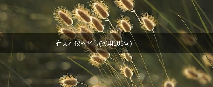 有关礼仪的名言(实用100句),第1张 有关礼仪的名言(实用100句),第1张