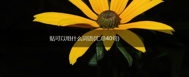 贴可以组什么词语(汇总40句),第1张