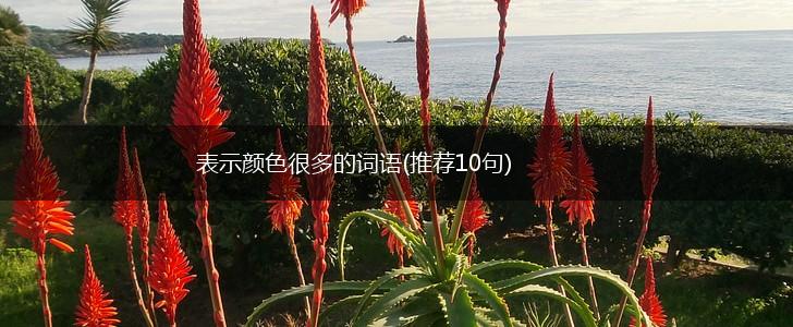 表示颜色很多的词语(推荐10句),第1张