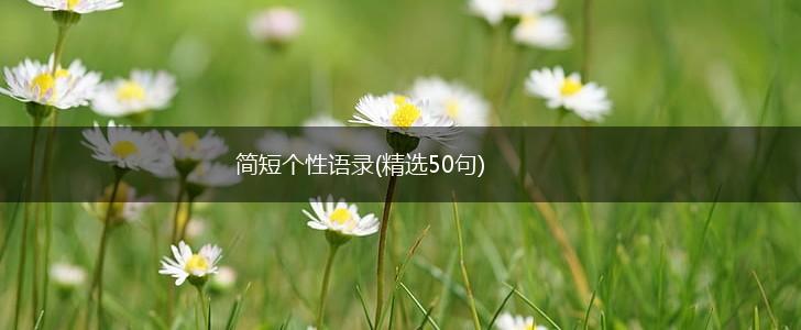 简短个性语录(精选50句),第1张