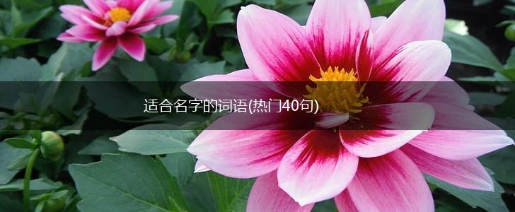 适合名字的词语(热门40句),第1张 适合名字的词语(热门40句),第1张