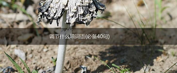 调节什么填词语(必备40句),第1张 调节什么填词语(必备40句),第1张