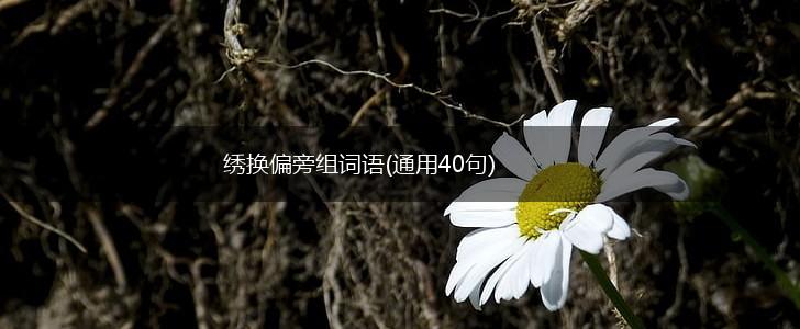 绣换偏旁组词语(通用40句),第1张 绣换偏旁组词语(通用40句),第1张