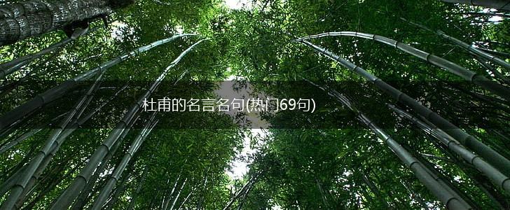 杜甫的名言名句(热门69句),第1张