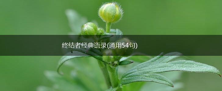 终结者经典语录(通用54句),第1张