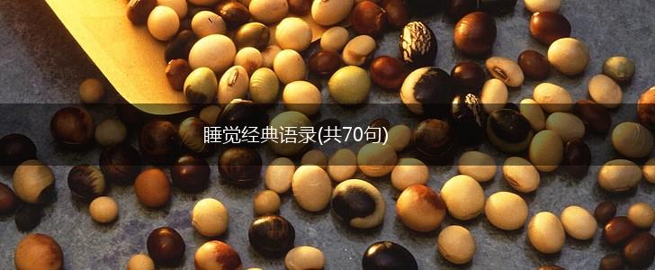 睡觉经典语录(共70句),第1张