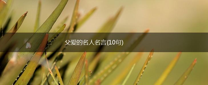 父爱的名人名言(10句),第1张