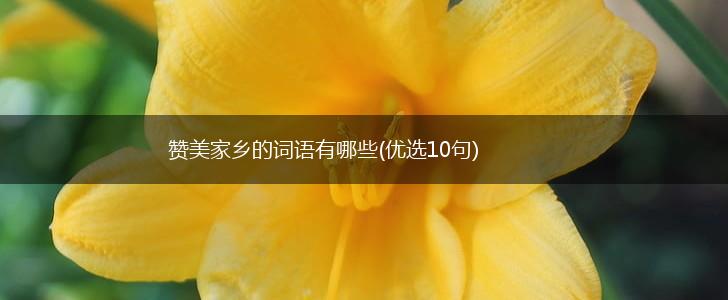 赞美家乡的词语有哪些(优选10句),第1张