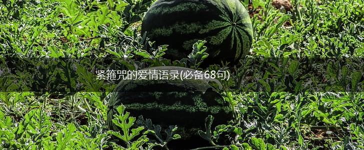紧箍咒的爱情语录(必备68句),第1张