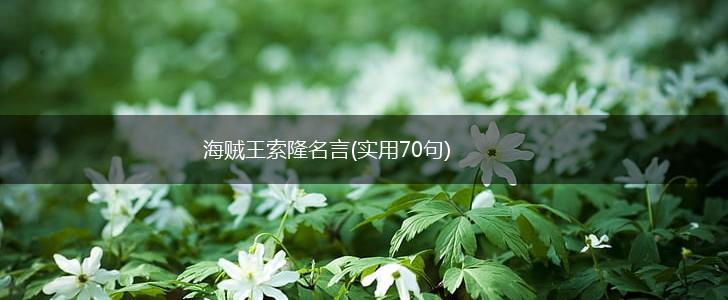 海贼王索隆名言(实用70句),第1张