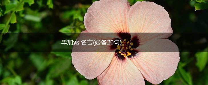 毕加索 名言(必备20句),第1张