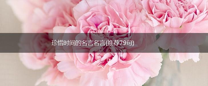 珍惜时间的名言名言(推荐79句),第1张 珍惜时间的名言名言(推荐79句),第1张