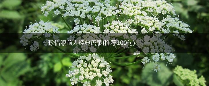 珍惜眼前人经典语录(推荐100句),第1张