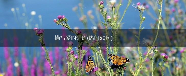 描写爱的词语(热门50句),第1张