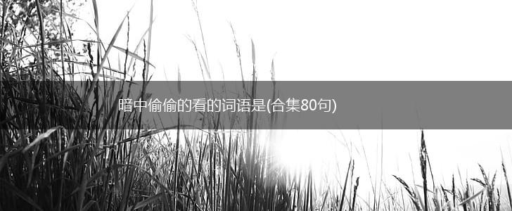 暗中偷偷的看的词语是(合集80句),第1张