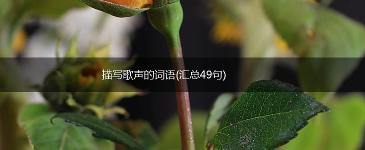 描写歌声的词语(汇总49句),第1张
