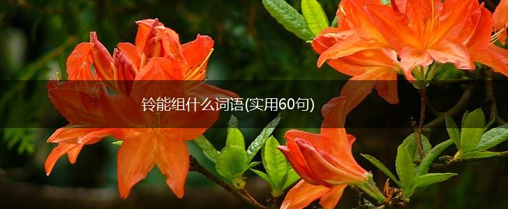 铃能组什么词语(实用60句),第1张 铃能组什么词语(实用60句),第1张