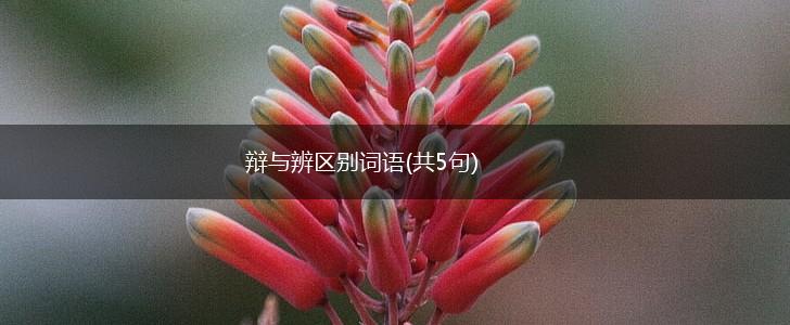 辩与辨区别词语(共5句),第1张