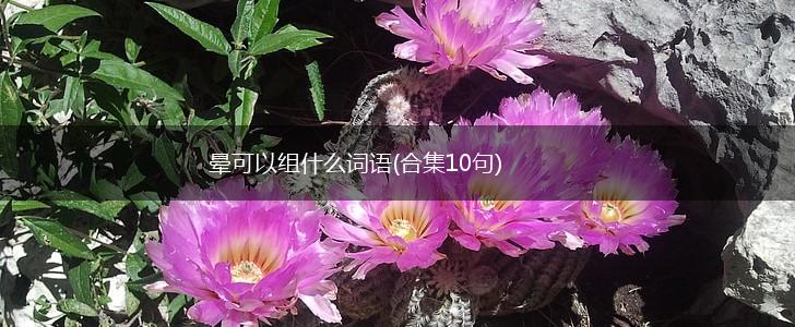 晕可以组什么词语(合集10句),第1张