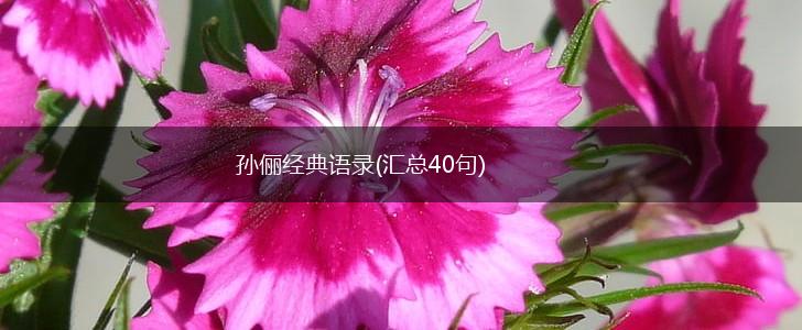 孙俪经典语录(汇总40句),第1张