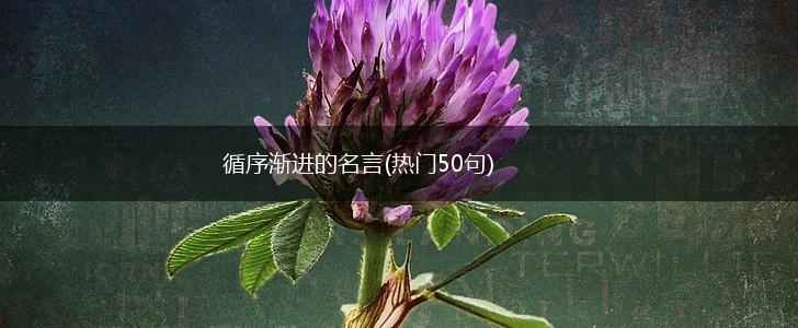 循序渐进的名言(热门50句),第1张