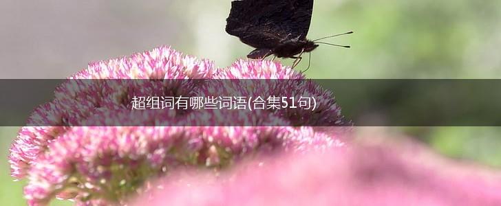 超组词有哪些词语(合集51句),第1张