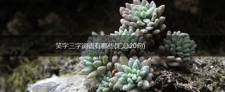 笑字三字词语有哪些(汇总20句),第1张