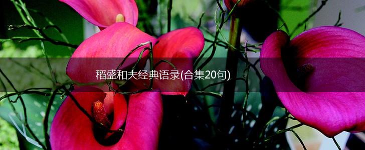 稻盛和夫经典语录(合集20句),第1张