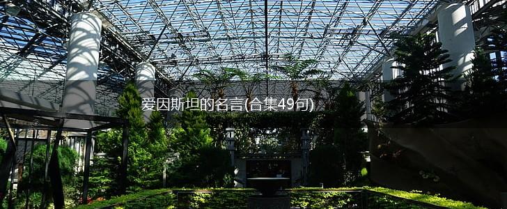 爱因斯坦的名言(合集49句),第1张