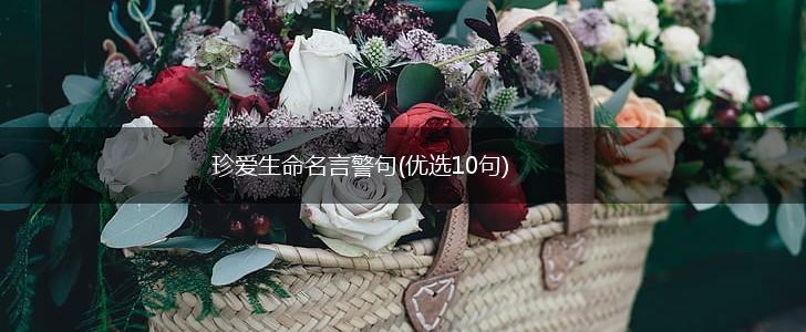 珍爱生命名言警句(优选10句),第1张