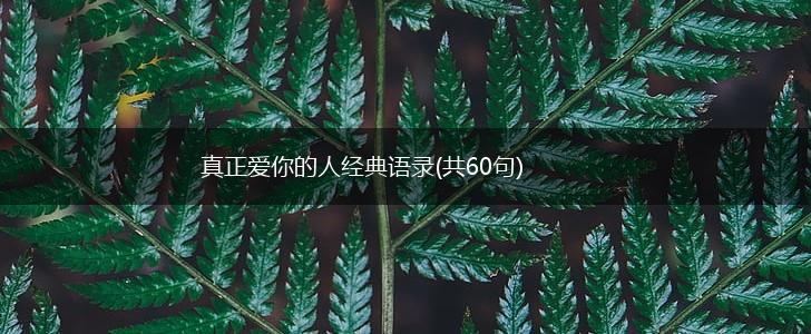 真正爱你的人经典语录(共60句),第1张