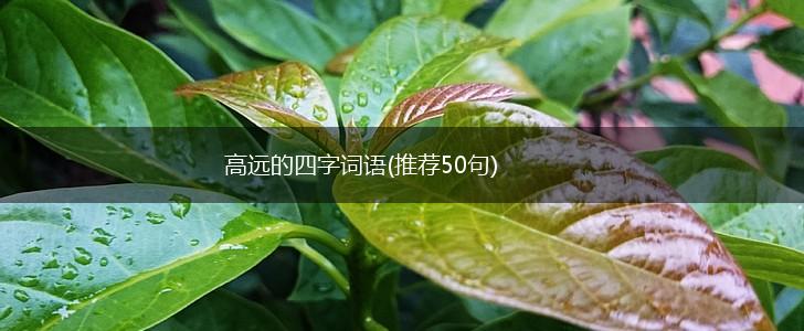 高远的四字词语(推荐50句),第1张