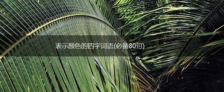 表示颜色的四字词语(必备80句),第1张