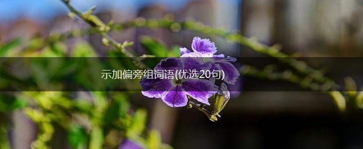 示加偏旁组词语(优选20句),第1张