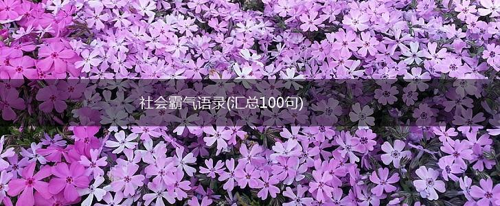 社会霸气语录(汇总100句),第1张