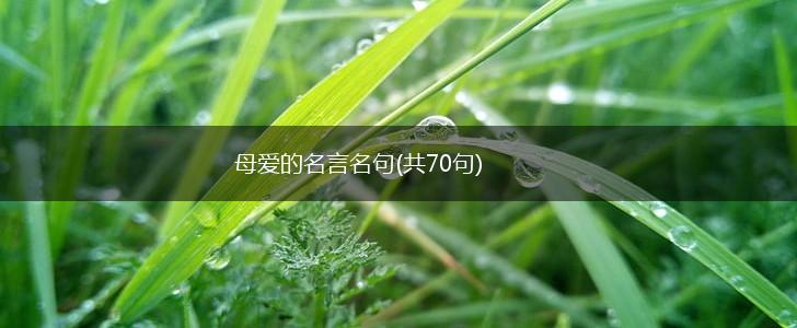 母爱的名言名句(共70句),第1张