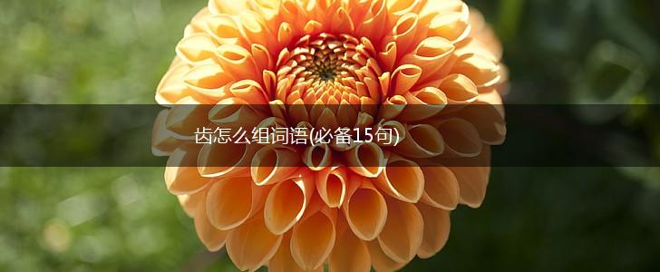 齿怎么组词语(必备15句),第1张
