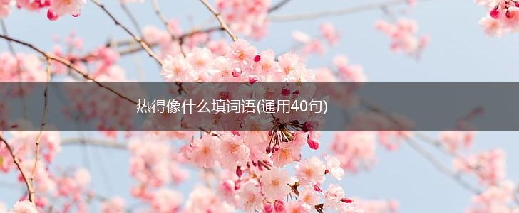 热得像什么填词语(通用40句),第1张