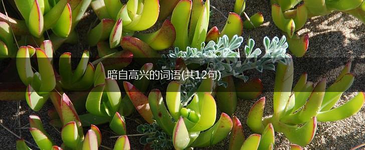 暗自高兴的词语(共12句),第1张