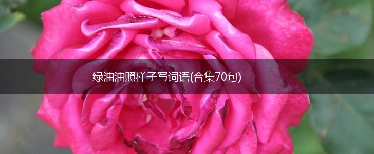绿油油照样子写词语(合集70句),第1张