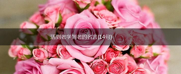 活到老学到老的名言(14句),第1张