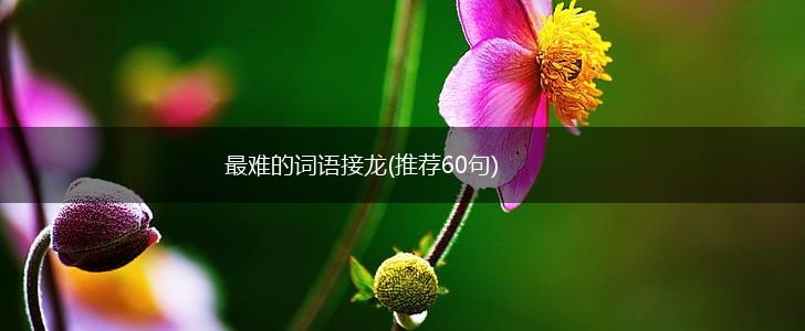 最难的词语接龙(推荐60句),第1张